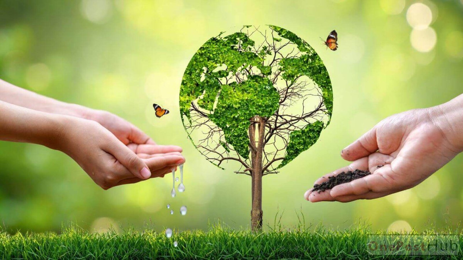 Environmental Conservation