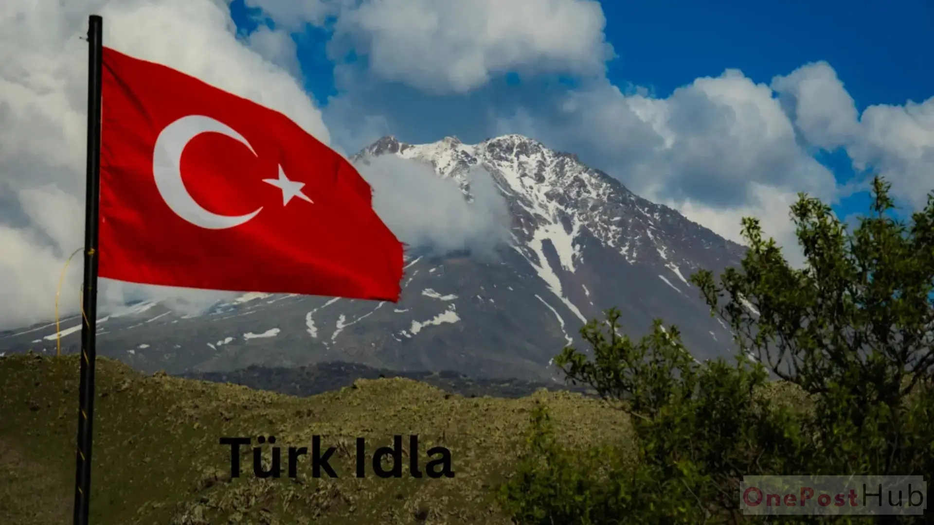 Türk Idla